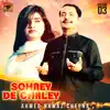 Ahmed Nawaz Cheena - Sohney De Chaley, Vol. 3